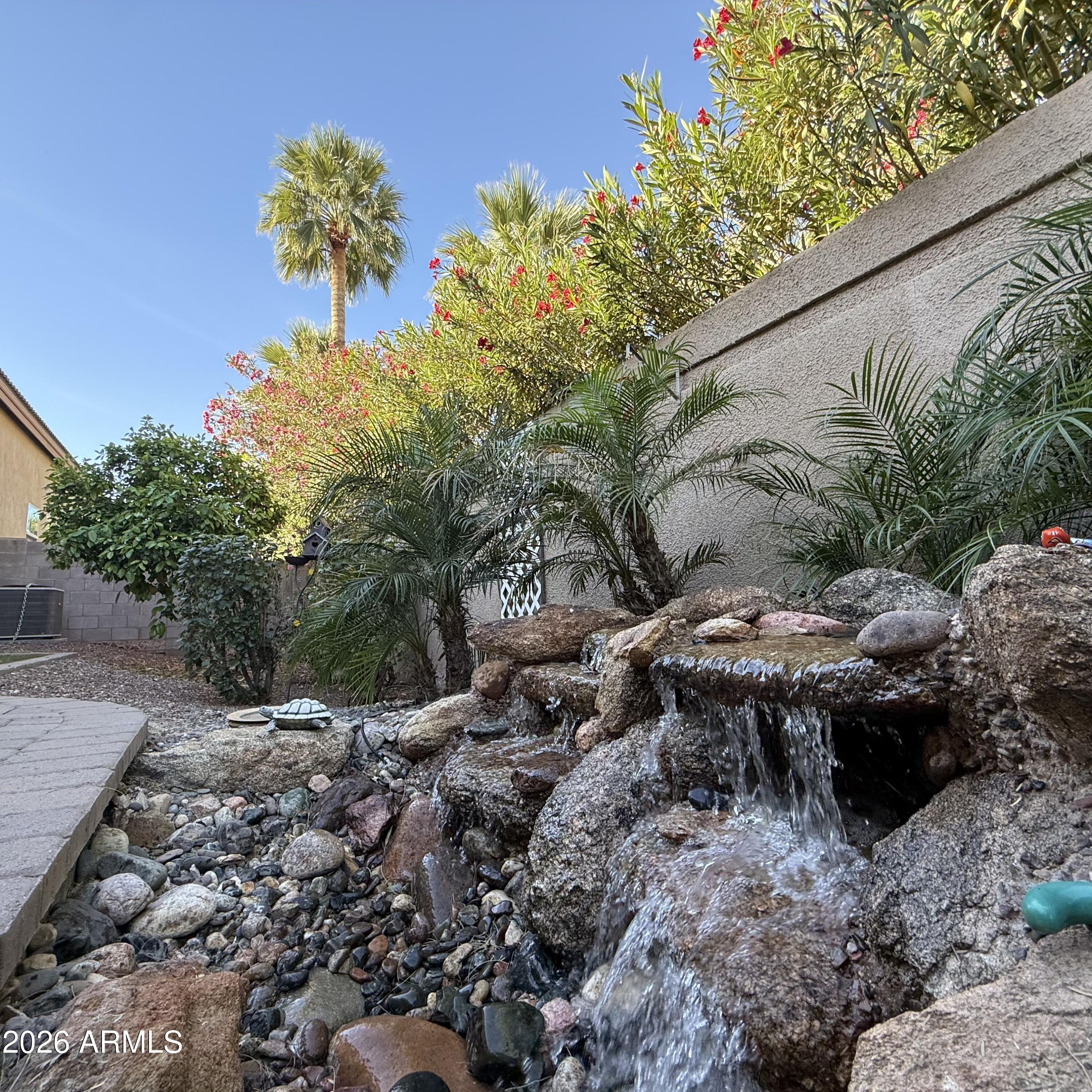 8974 North 8th Lane Phoenix, AZ 85021 - Photo 26 of 29 a view of a backyard with plants
