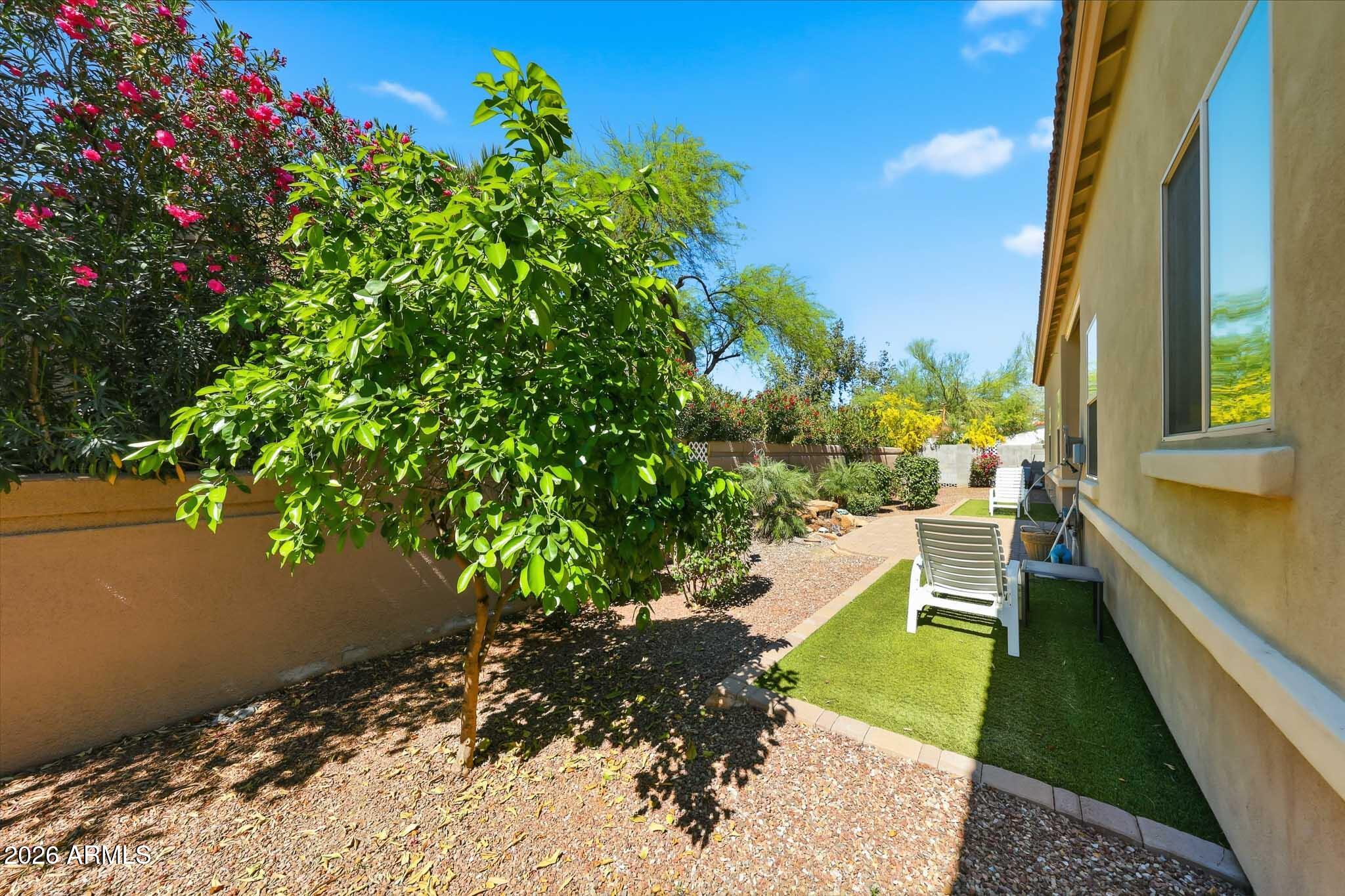 8974 North 8th Lane Phoenix, AZ 85021 - Photo 28 of 29 a view of a garden with an outdoor space