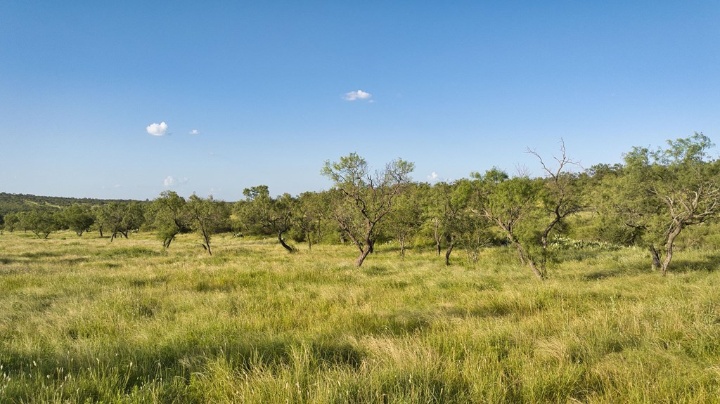 610 Ranch Road 152, Unit 4 Mason, TX 76856 - Photo 33 of 48 a view of an outdoor space and a yard