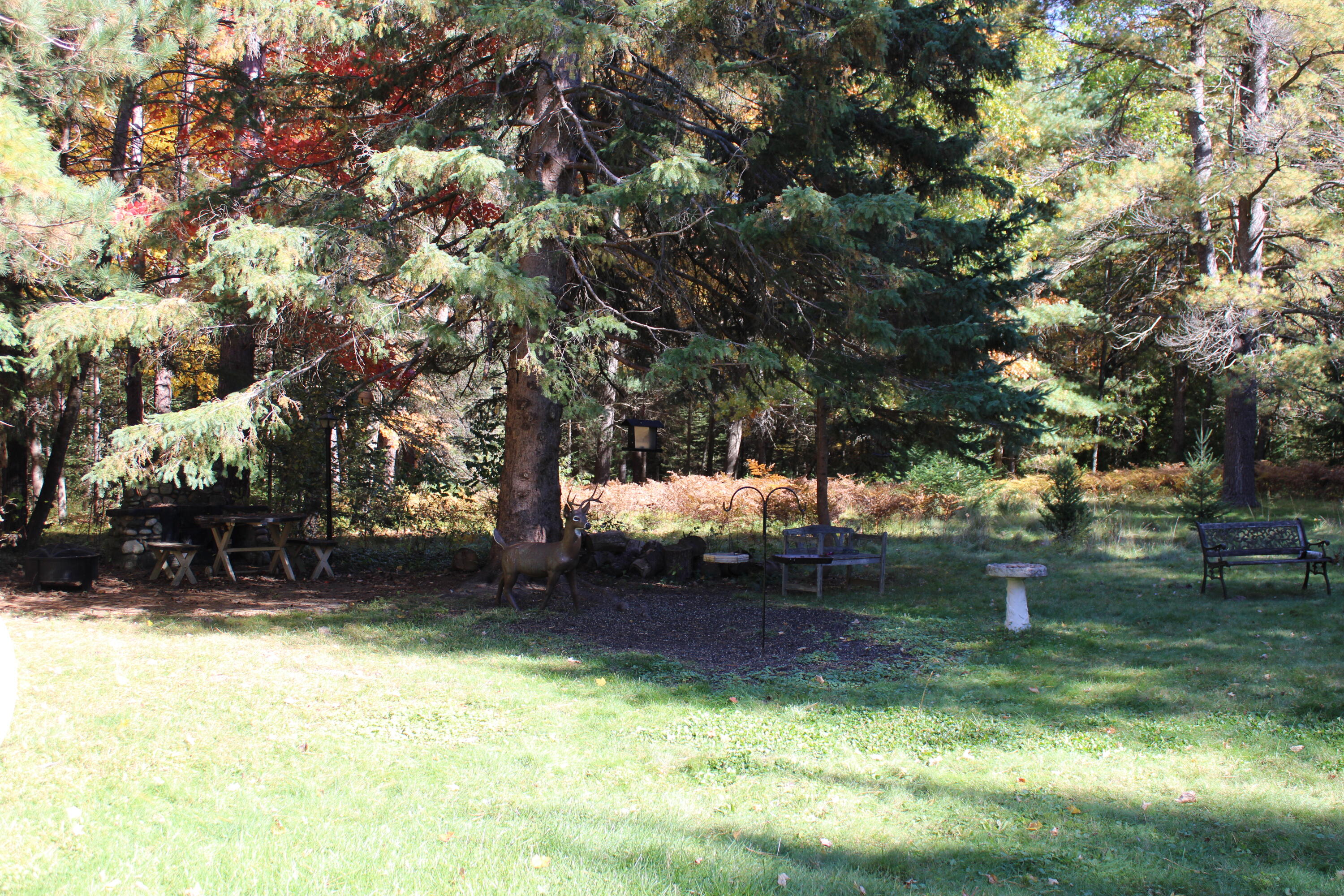 2139 Deeter Road Luzerne, MI 48636 - Photo 15 of 19 Gallery Image 15