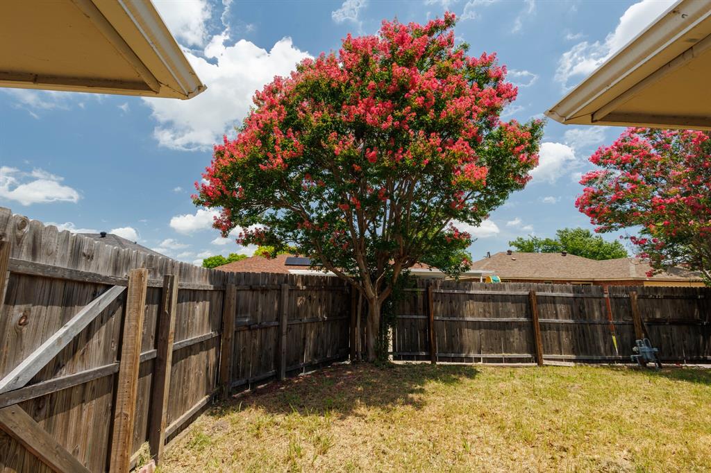 7305 Ridgeview Drive Rowlett, TX 75089 - Photo 26 of 32 a view of a backyard