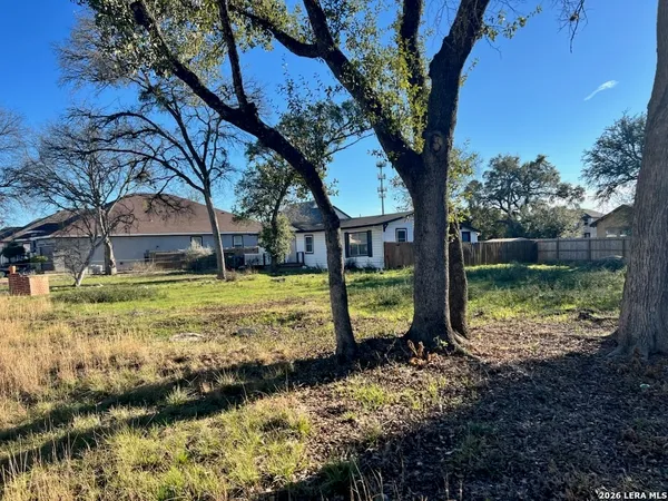 a view of a yard with a tree