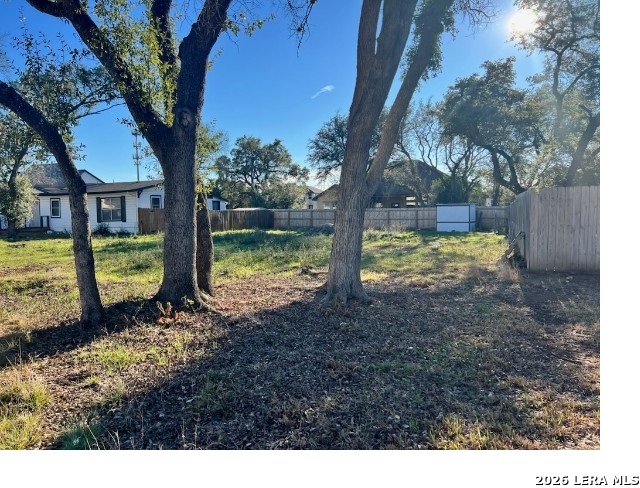 15321 Rhodius Lane Selma, TX 78154 - Photo 2 of 7 a view of a yard with a tree