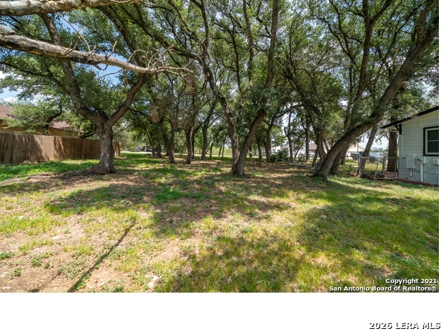 15321 Rhodius Lane Selma, TX 78154 - Photo 4 of 7 a picture of a yard with a tree
