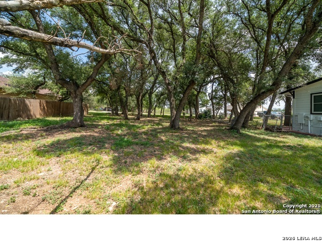 15321 Rhodius Lane Selma, TX 78154 - Photo 5 of 7 a view of yard with trees