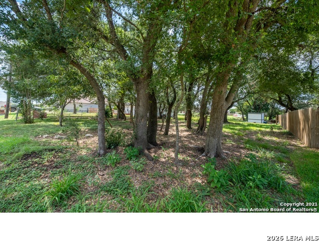 15321 Rhodius Lane Selma, TX 78154 - Photo 6 of 7 a black and white photo of a park