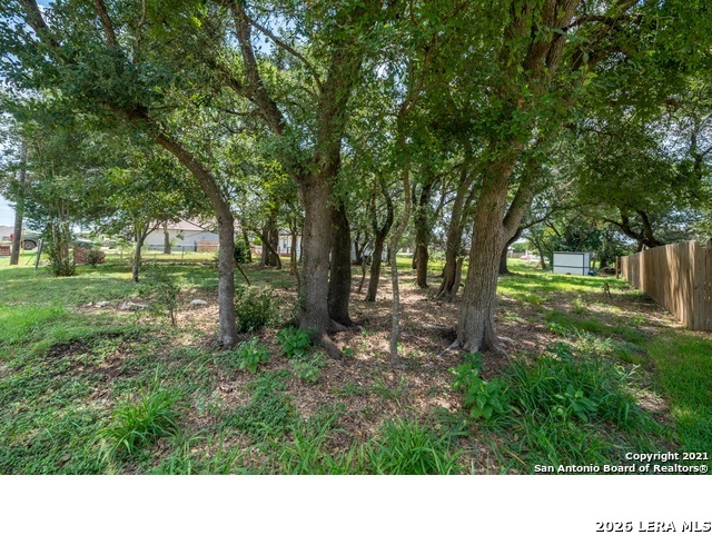 15321 Rhodius Lane Selma, TX 78154 - Photo 7 of 7 a black and white photo of a tree