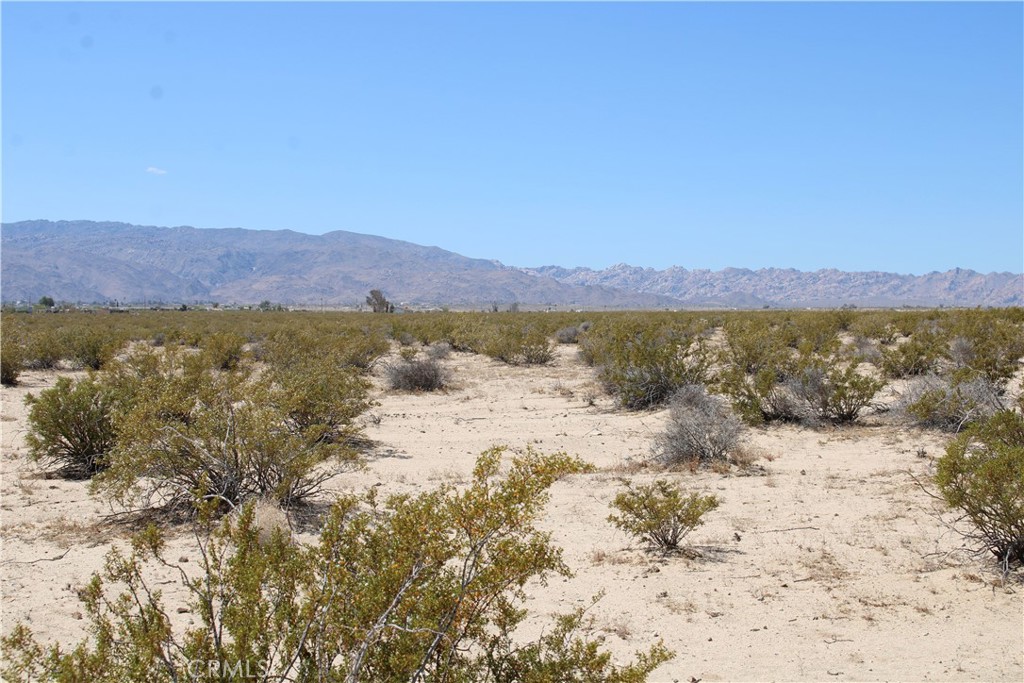 29 Morongo Road Twentynine Palms, CA 92277 - Photo 13 of 21
