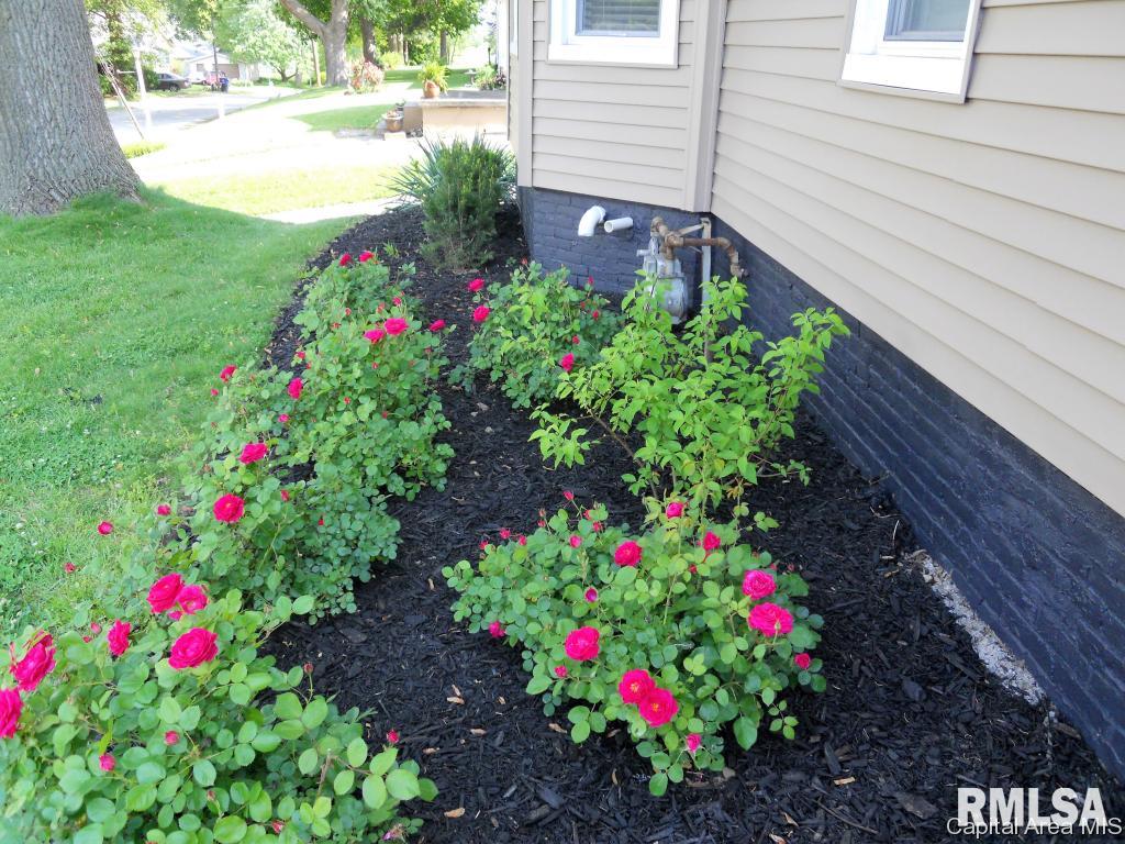 2100 North 9th Street Springfield, IL 62702 - Photo 21 of 21