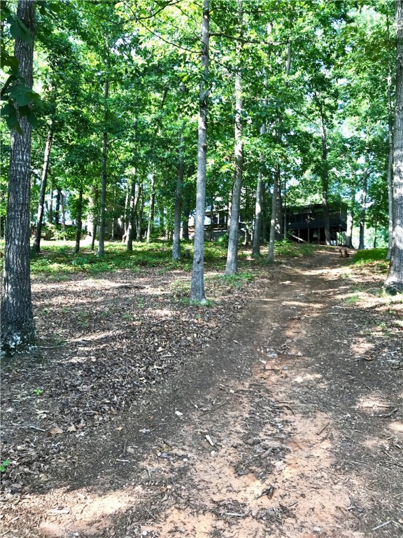 1046 Smyzer Road Townville, SC 29689 - Photo 16 of 18 Gallery Image 16