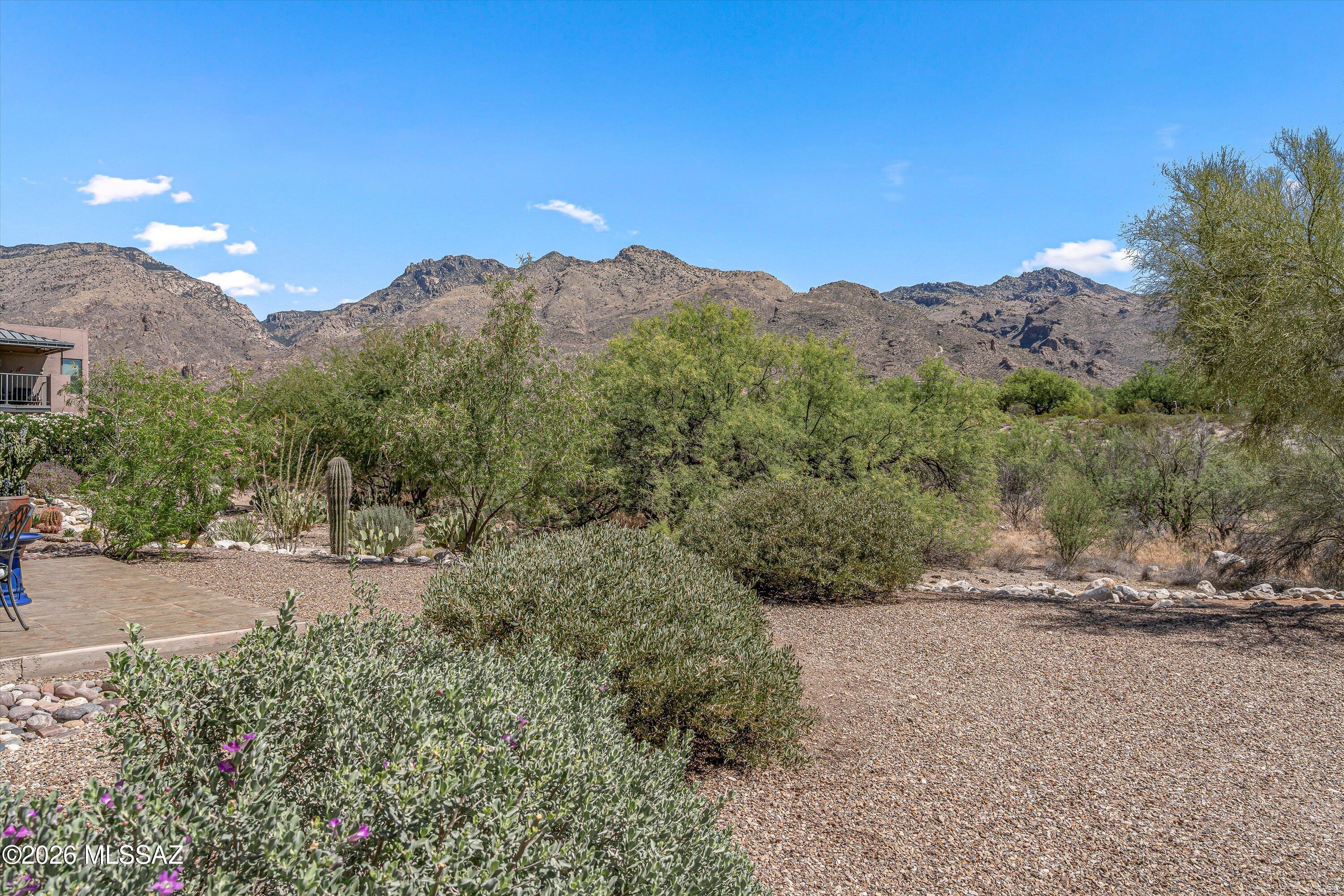 5800 North Kolb Road, Unit 5125 Tucson, AZ 85750 - Photo 23 of 34 a view of a road with a building in the background