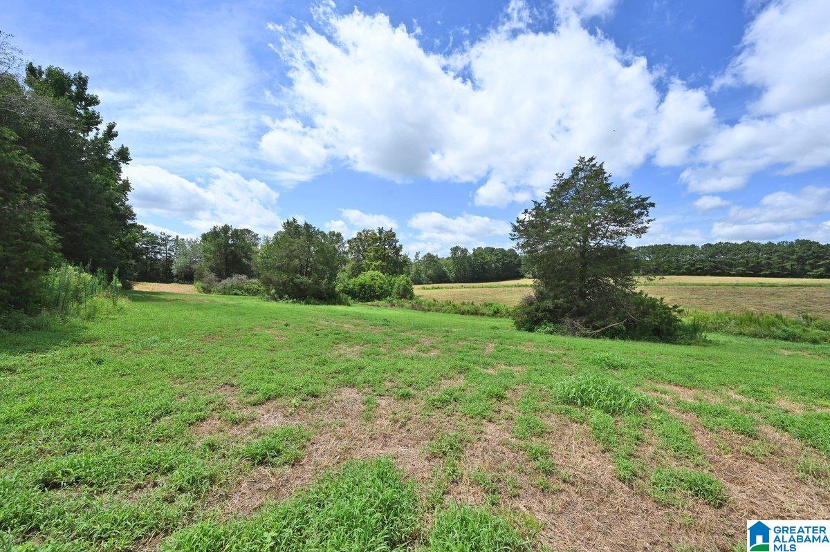 70 Nobinger Road Falkville, AL 35622 - Photo 2 of 23 Gallery Image 2