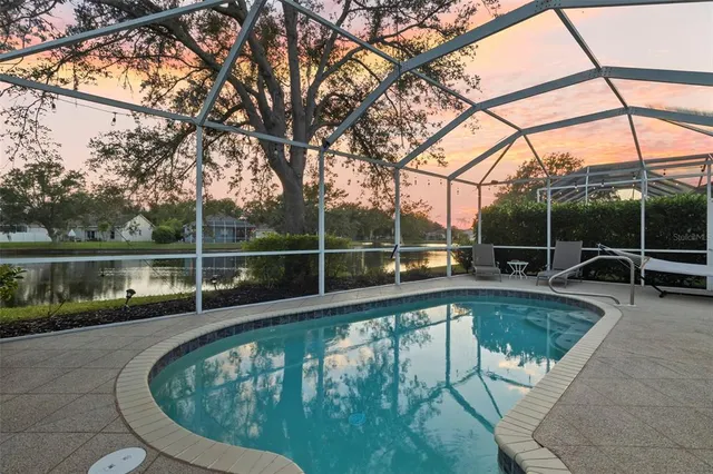 a view of a lake in a forest