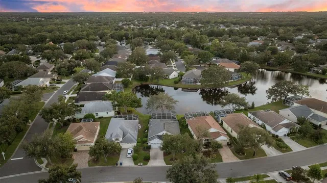 a backyard of a house with plants and large tree