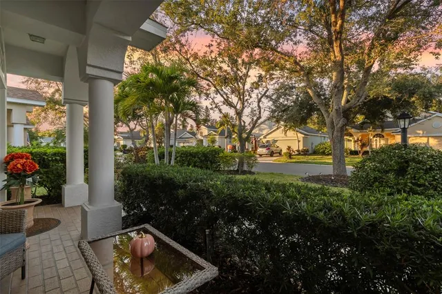 a view of a back yard