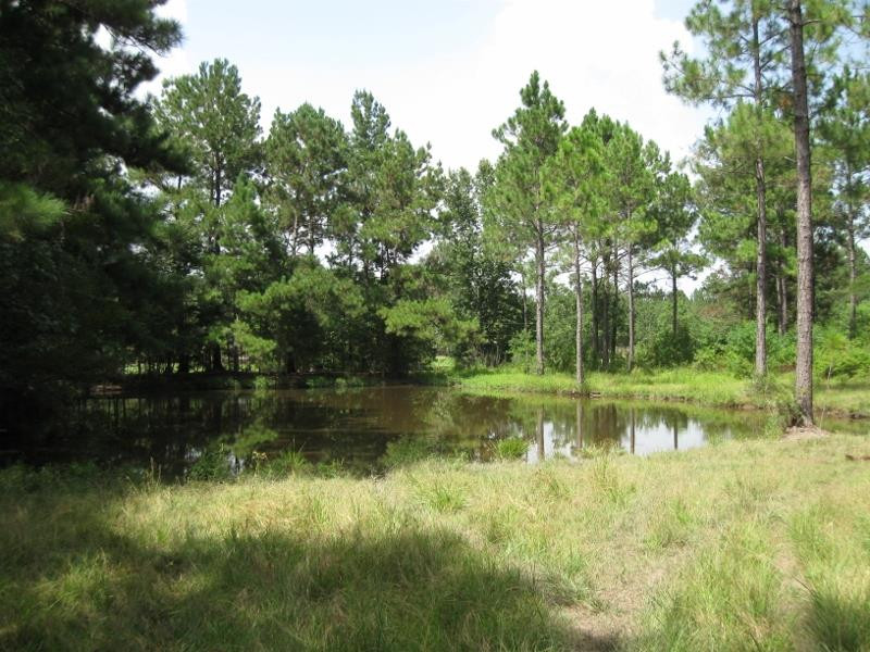 0 South Jake Talley Road Bogalusa, LA 70427 - Photo 1 of 1 Main View