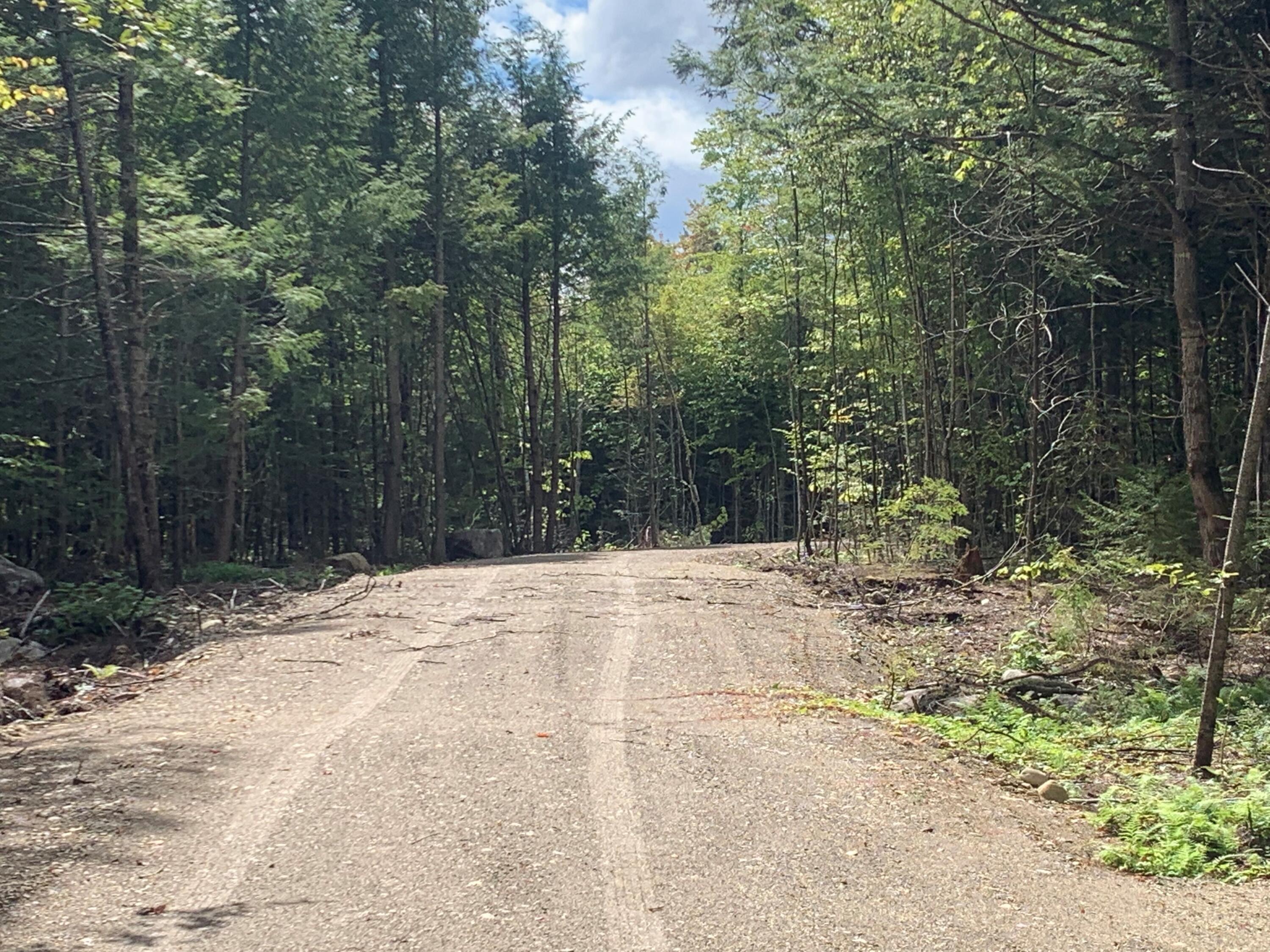 Lot9 Trail End Road Lincoln, ME 04457 - Photo 6 of 7 MLS6