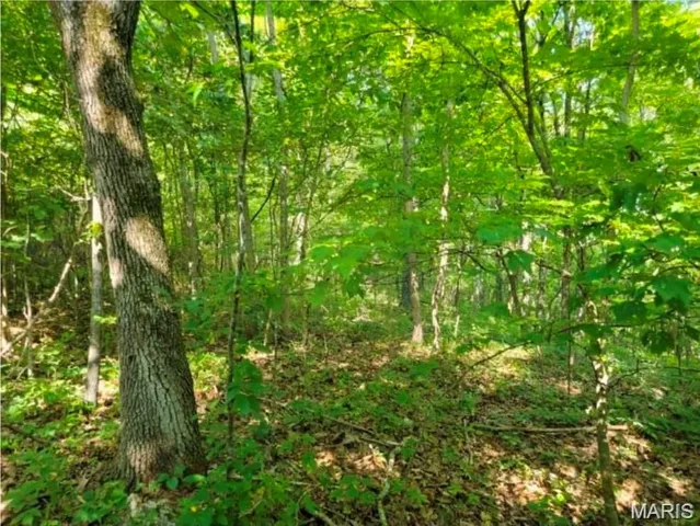 $17,000 | 0 County Highway, Ellington, MO 63638