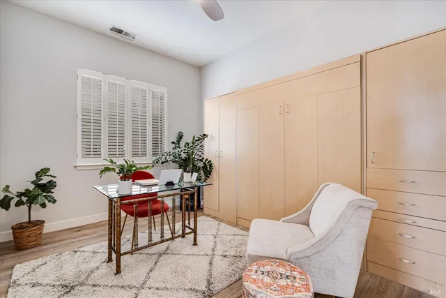 a livingroom with furniture and a potted plant