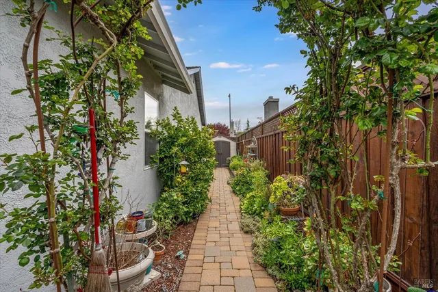 a view of a pathway with flower plants