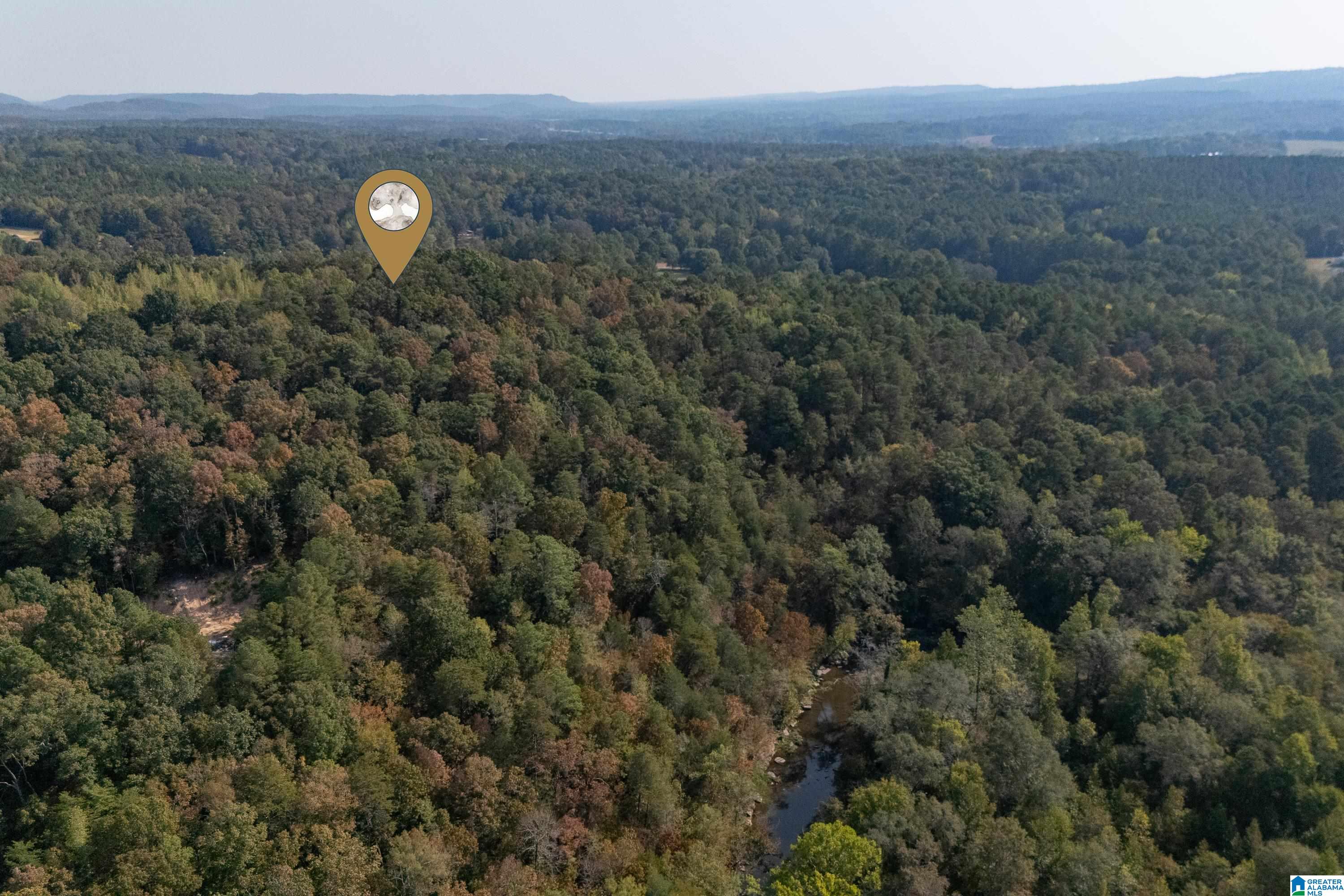 2787 Deavers Town Road Cleveland, AL 35049 - Photo 35 of 47