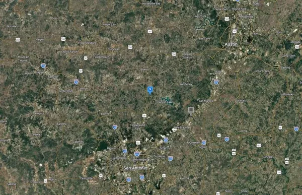 a close up of a tree