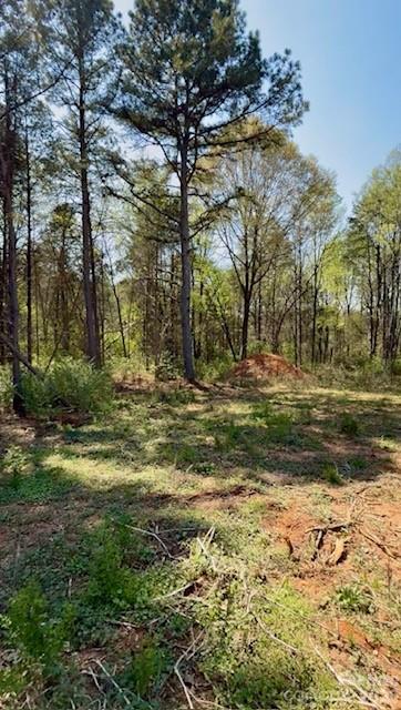 3601 Thunder Road Maiden, NC 28650 - Photo 11 of 11 a view of outdoor space with trees