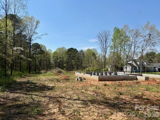 3601 Thunder Road Maiden, NC 28650 - Photo 3 of 11 a view of dirt yard with a large tree