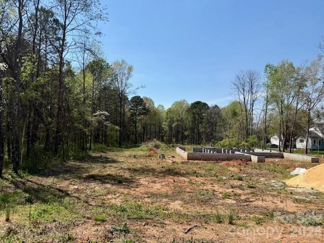 3601 Thunder Road Maiden, NC 28650 - Photo 4 of 11 a view of outdoor space with trees