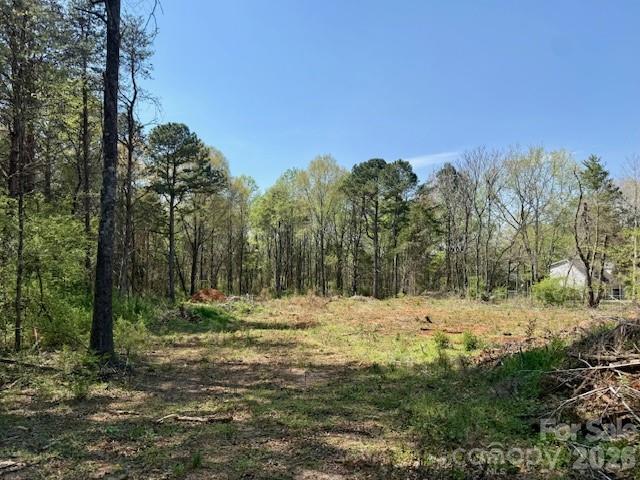 3601 Thunder Road Maiden, NC 28650 - Photo 6 of 11 a view of a yard with trees