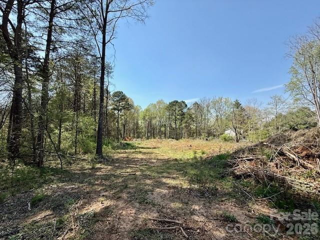 3601 Thunder Road Maiden, NC 28650 - Photo 7 of 11 a big yard with lots of green space and fog
