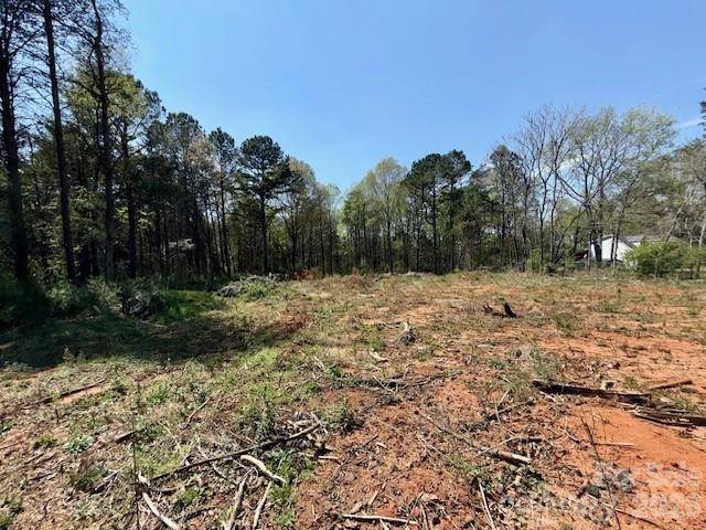 3601 Thunder Road Maiden, NC 28650 - Photo 8 of 11 a view of outdoor space with trees