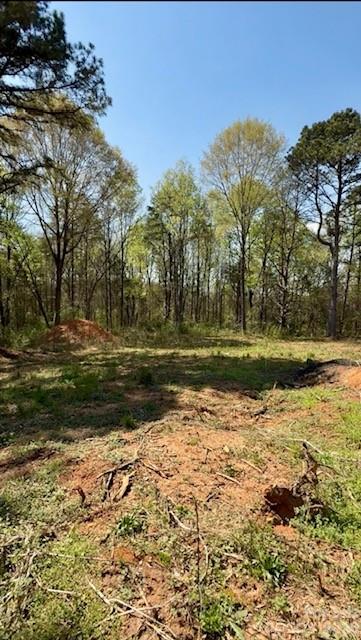 3601 Thunder Road Maiden, NC 28650 - Photo 10 of 11 a view of a yard with trees