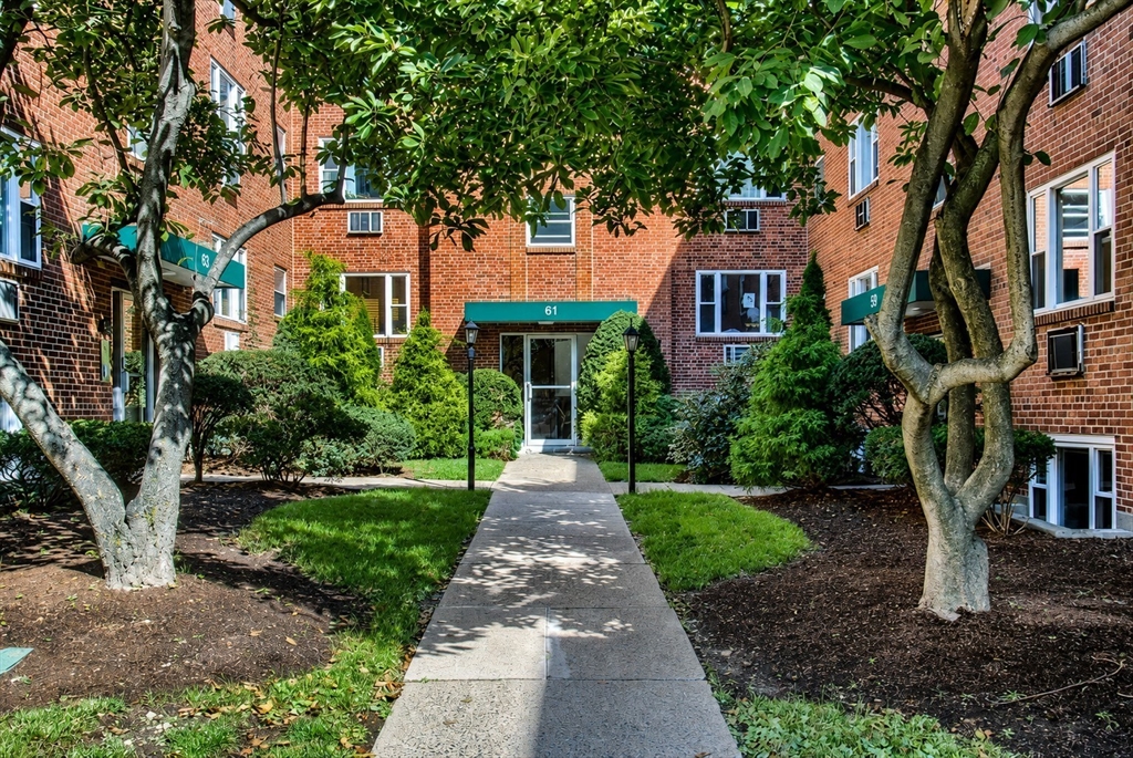 59 Colborne Road, Unit 2 Boston, MA 02135 - Photo 8 of 13