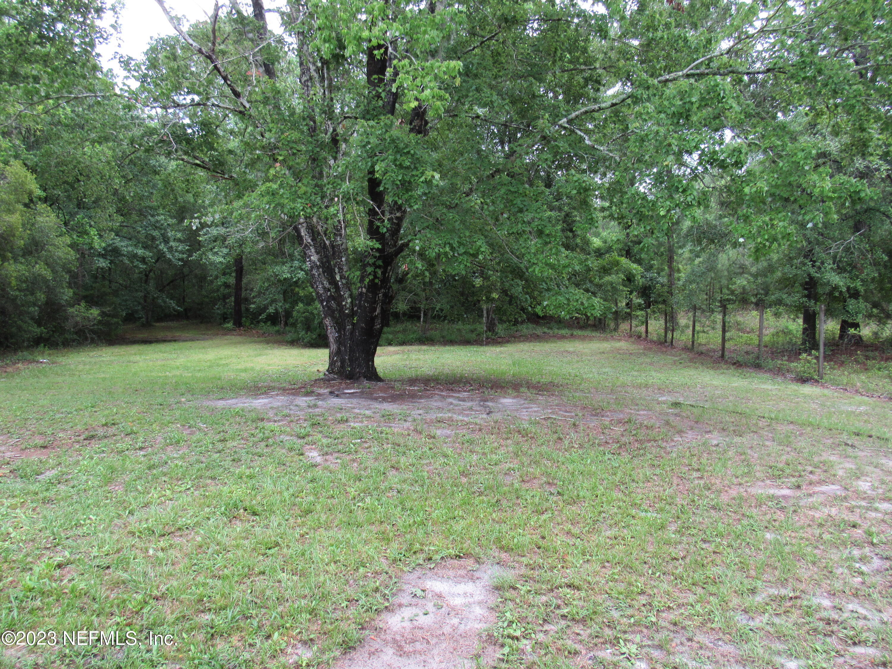 4042 Als Satch Road Middleburg, FL 32068 - Photo 24 of 25 REAR YARD