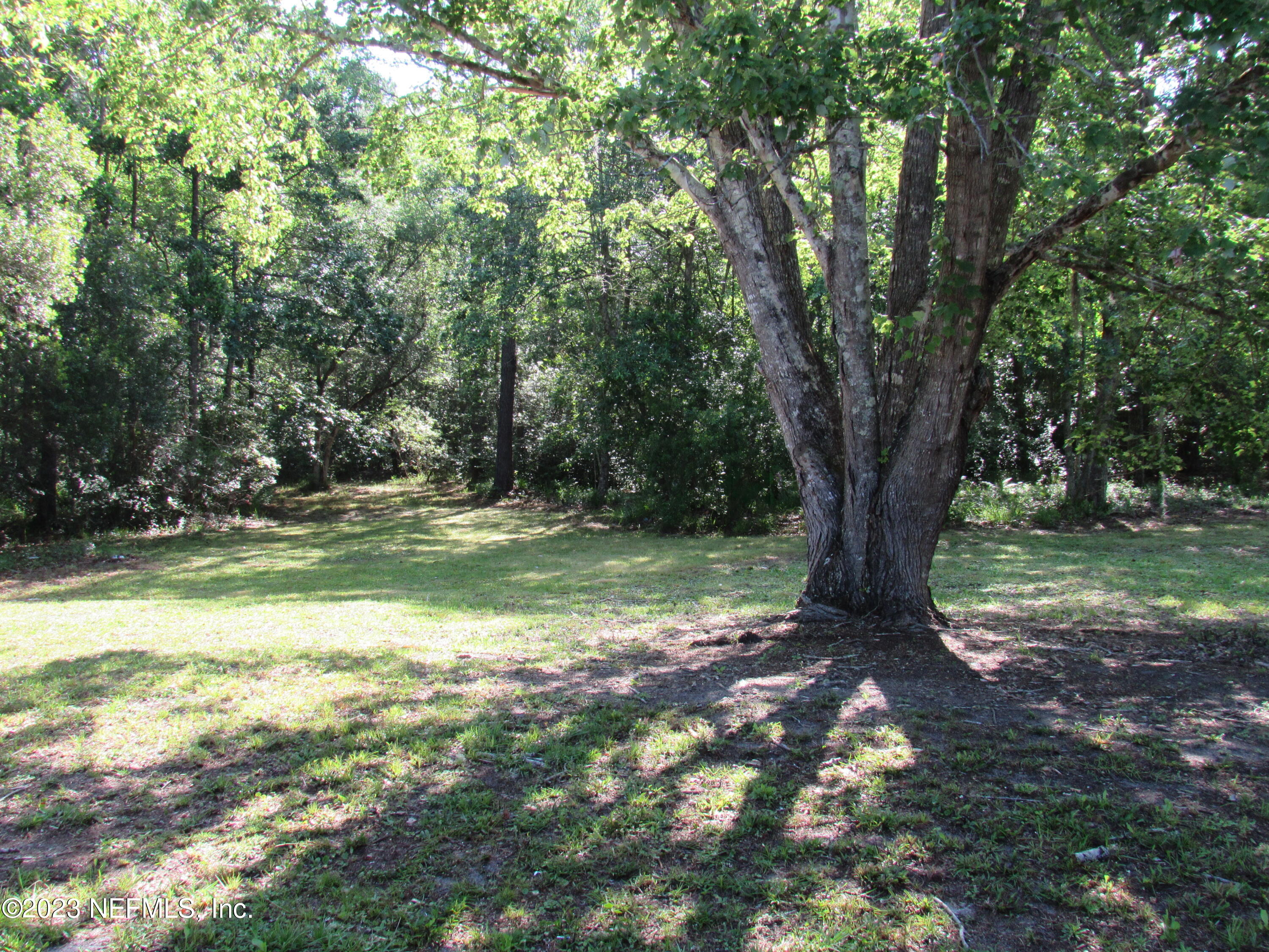 4042 Als Satch Road Middleburg, FL 32068 - Photo 5 of 25 REAR