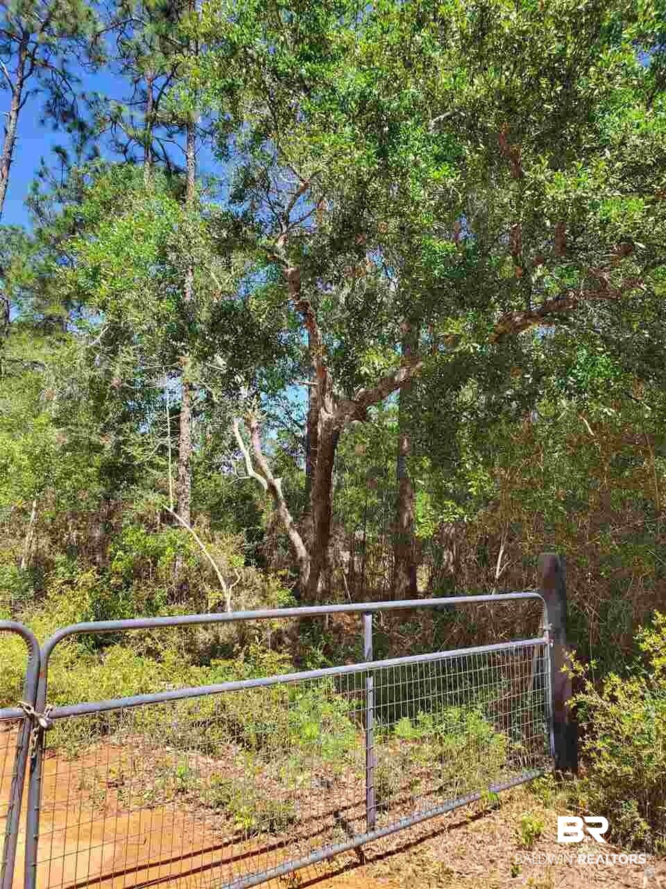 22148 Creek Road Gulf Shores, AL 36542 - Photo 8 of 8