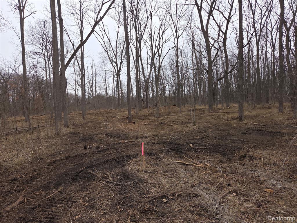 Parcel D Parcel D Parcel D Cullen Road Hartland, MI 48353 - Photo 1 of 1