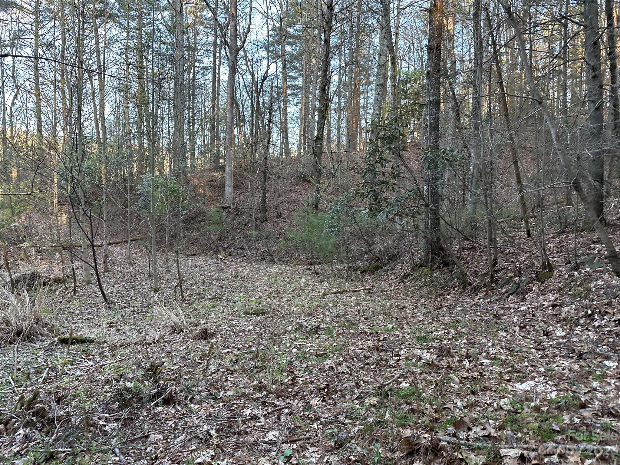 0 Amos Arrington Road Clyde, NC 28721 - Photo 17 of 38 Gallery Image 17