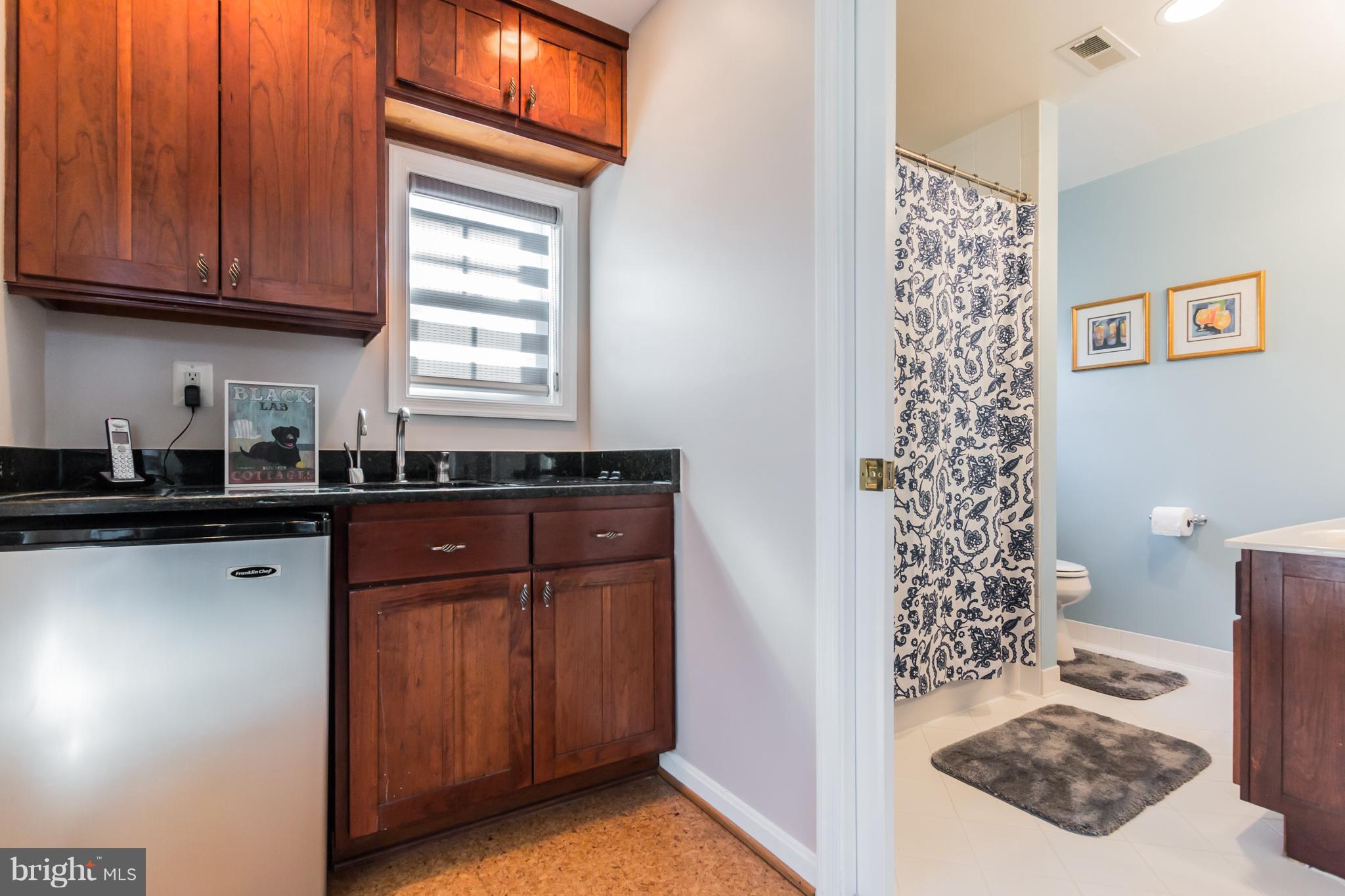 15913 Green Meadow Road Gaithersburg, MD 20878 - Photo 14 of 30 Kitchenette [In-Law-Suite}