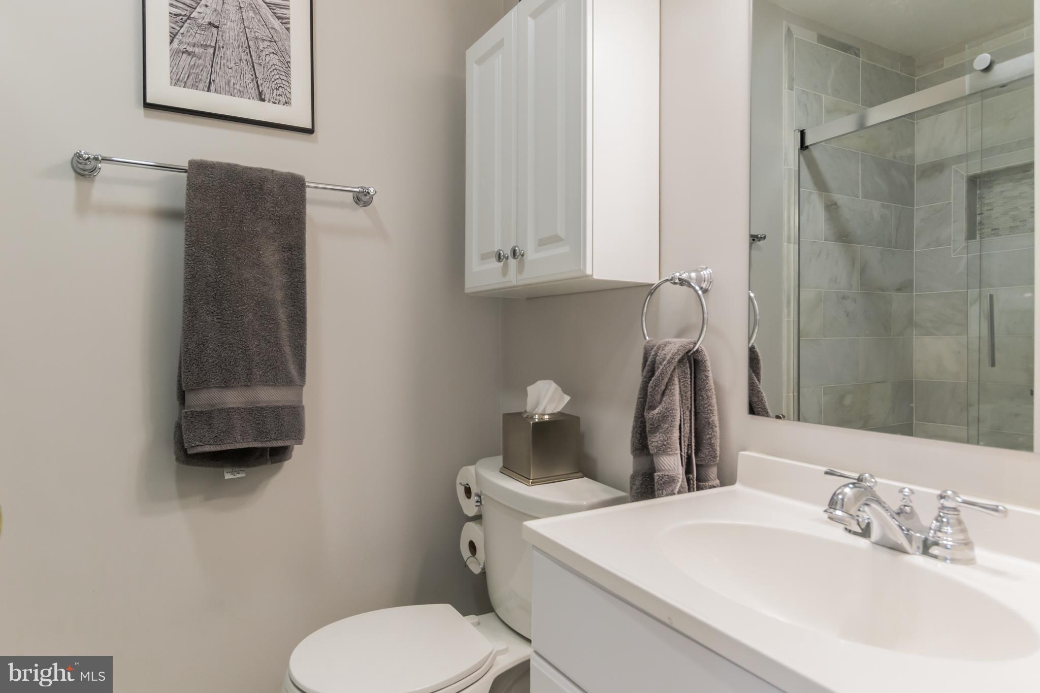 15913 Green Meadow Road Gaithersburg, MD 20878 - Photo 22 of 30 Bath (Master)