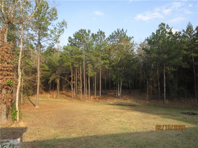 769 East Meade Road Pollock, LA 71467 - Photo 6 of 21