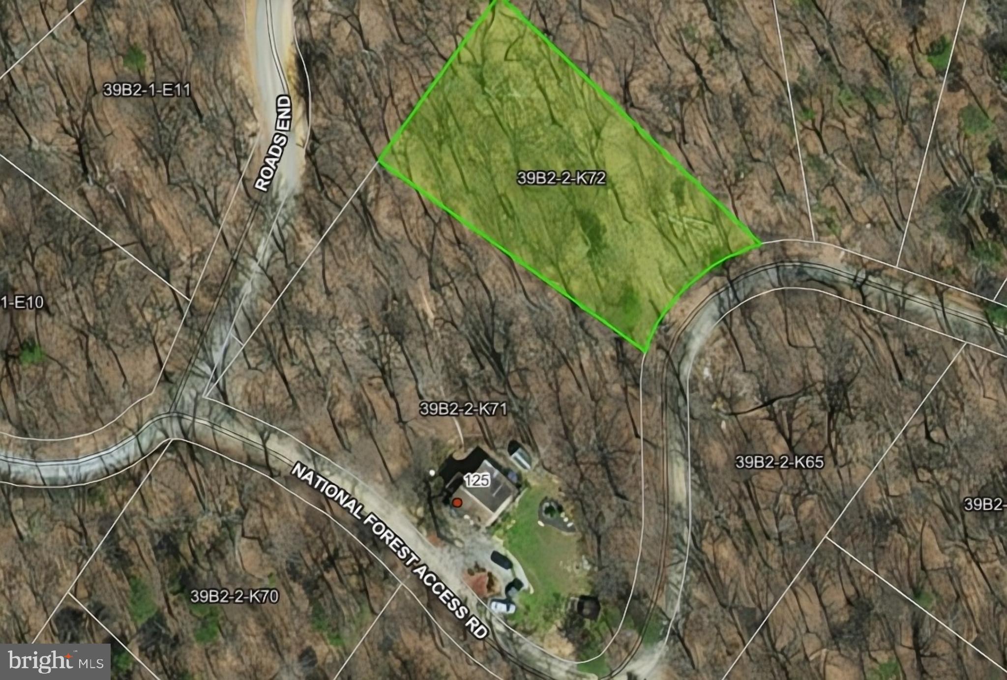 0 National Forest Access Road Luray, VA 22835 - Photo 2 of 2 a picture of a tree