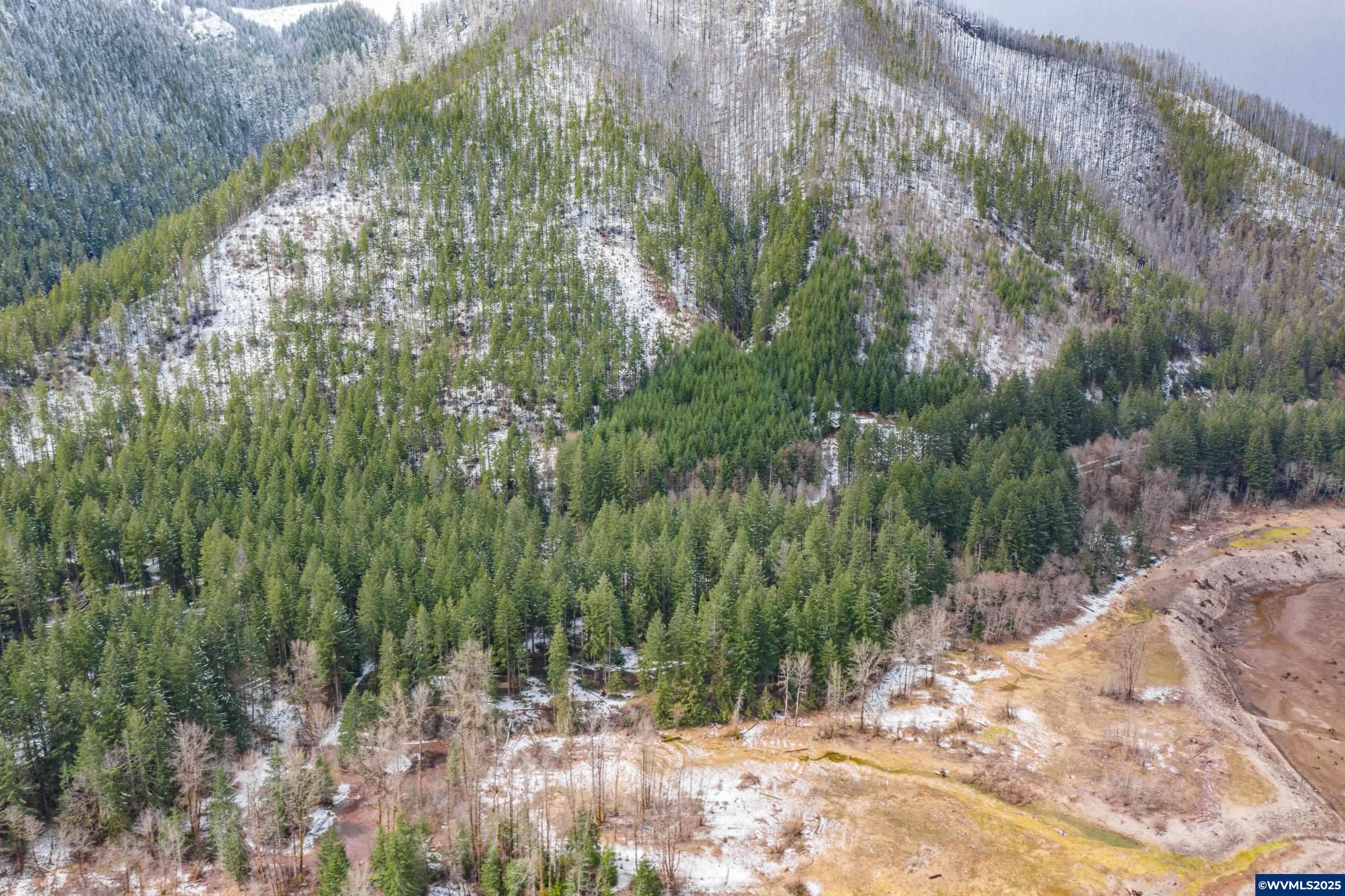 57700 Blowout Road Detroit, OR 97342 - Photo 42 of 42