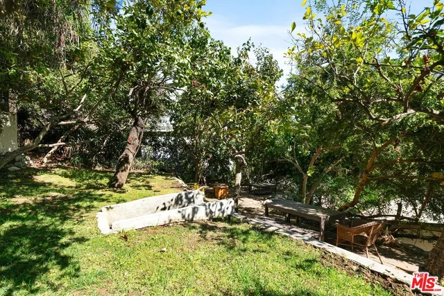 a view of a yard with large trees