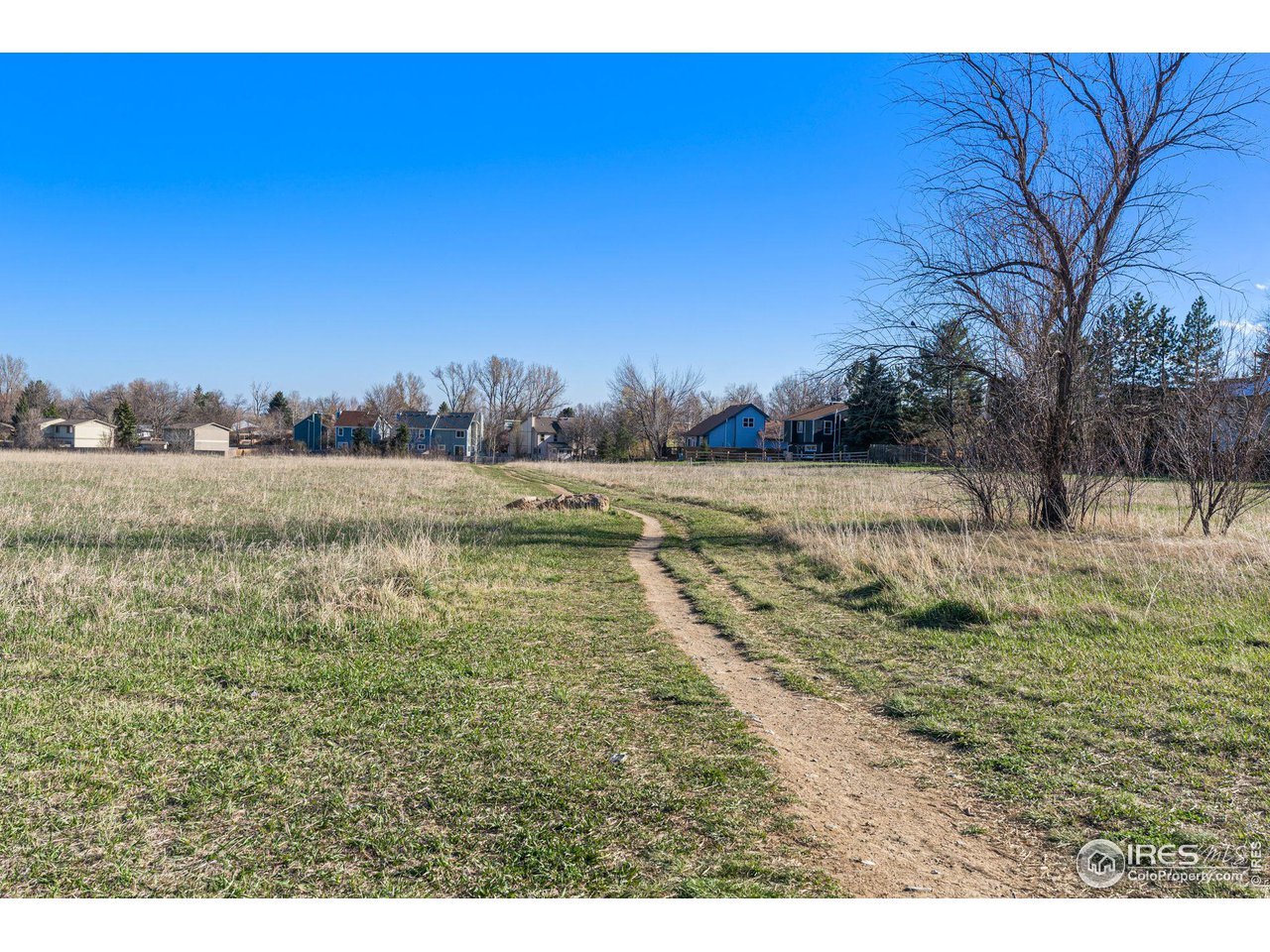 4640 Portside Way Boulder, CO 80301 - Photo 30 of 35 a view of a yard with a tree