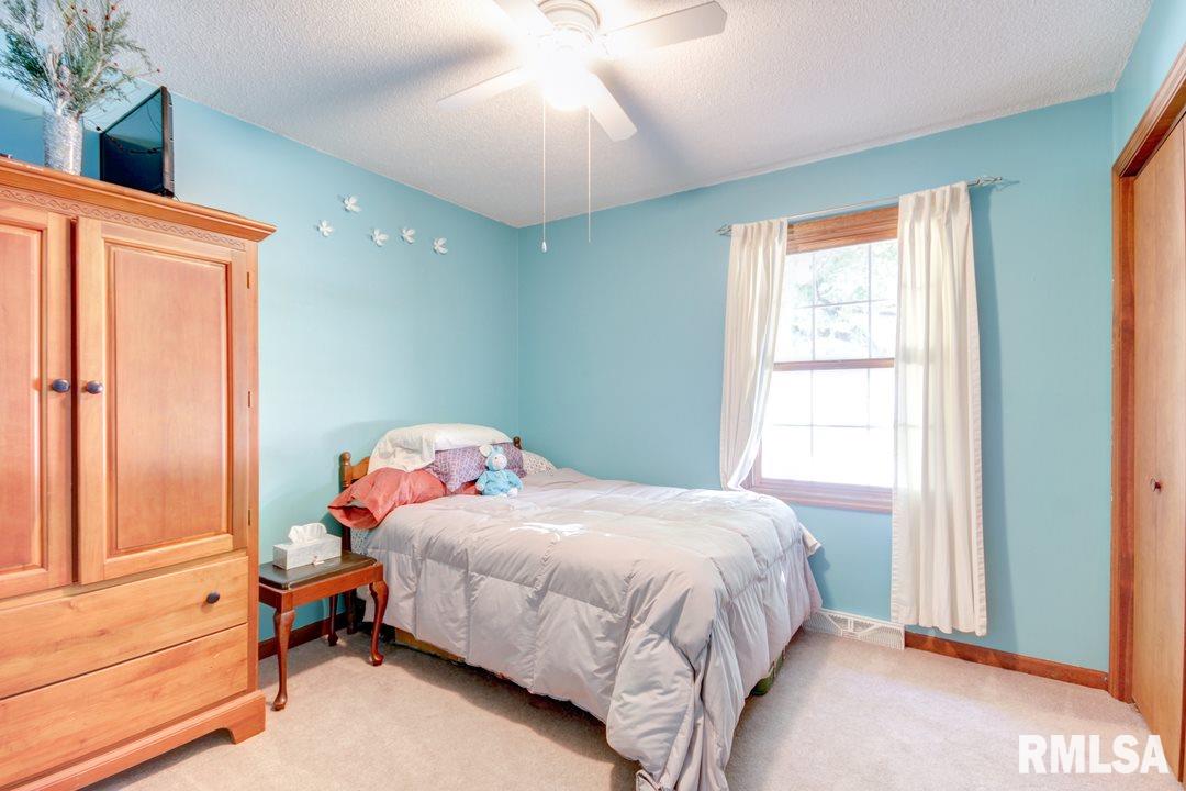53 Guinevere Drive Rochester, IL 62563 - Photo 14 of 27 Gallery Image 14