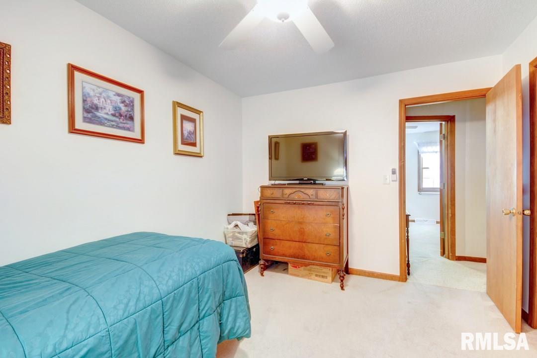 53 Guinevere Drive Rochester, IL 62563 - Photo 15 of 27 Gallery Image 15