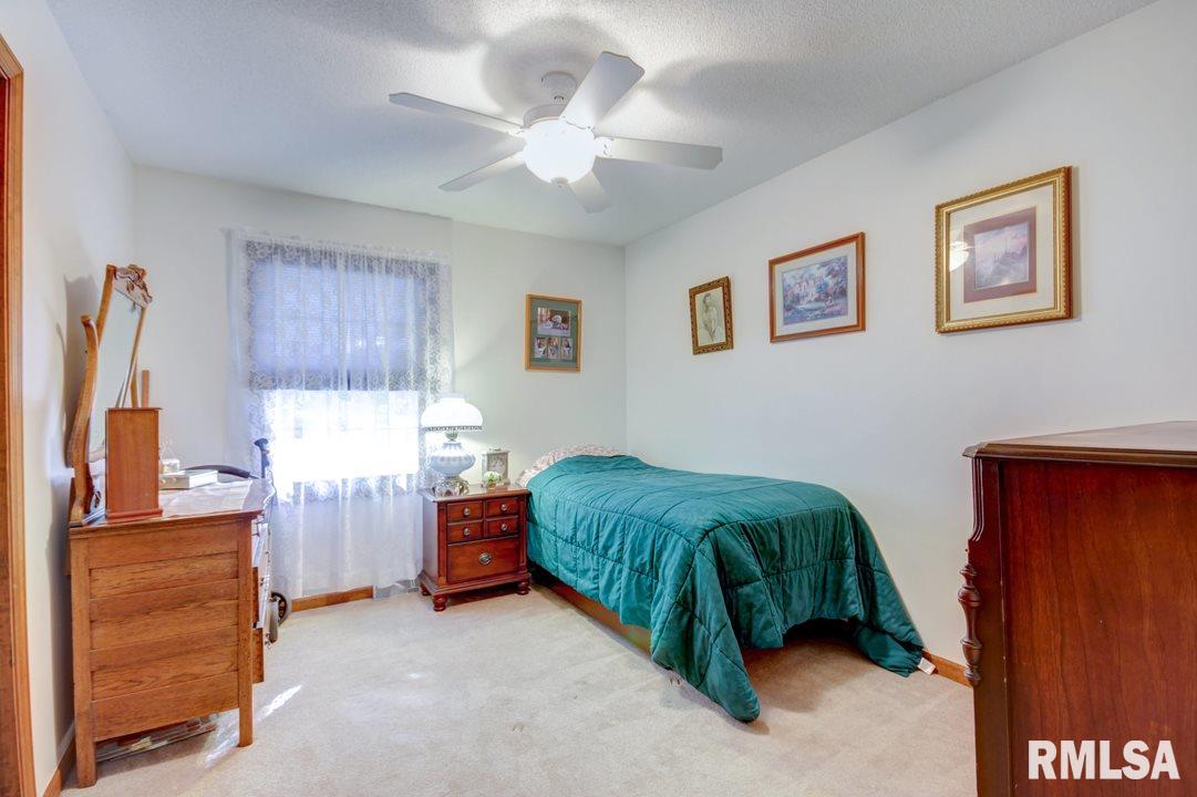 53 Guinevere Drive Rochester, IL 62563 - Photo 16 of 27 Gallery Image 16
