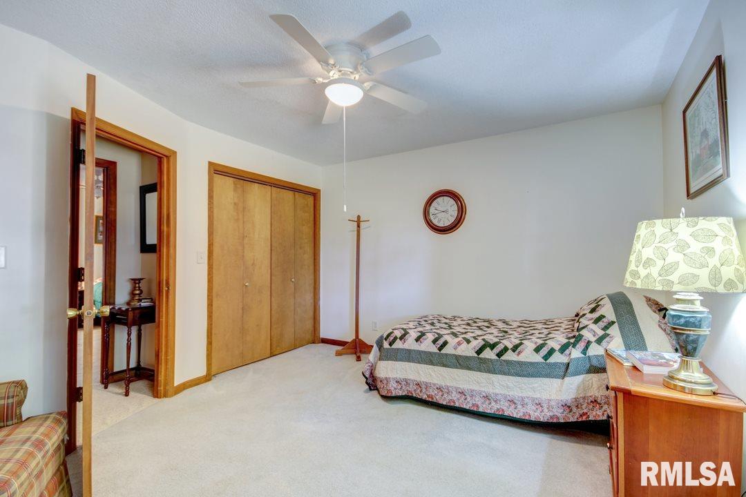 53 Guinevere Drive Rochester, IL 62563 - Photo 17 of 27 Gallery Image 17
